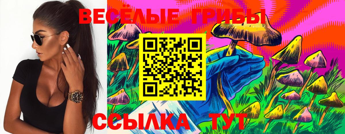 Галлюциногенные грибы Psilocybine cubensis Дальнегорск