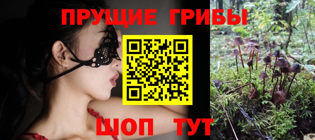 Дальнегорск  Галлюциногенные грибы Psilocybe  где можно купить наркотик  Вход с VPN  Галлюциногенные грибы мухоморы 